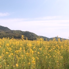 美容師の休日