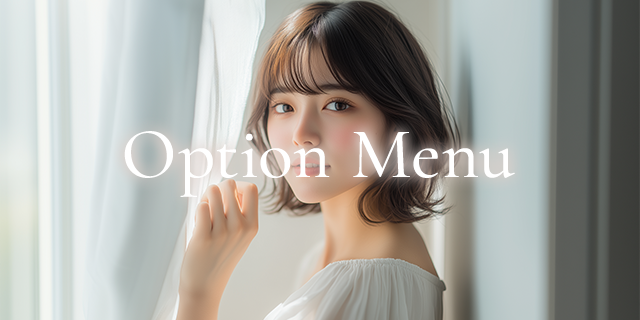 Option Menu